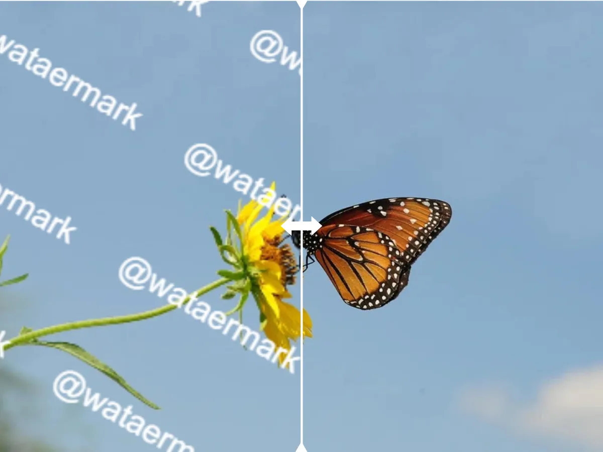 Free, Fast & Hassle-Free GIF Editing