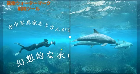 画像ウォーターマーク削除ツール