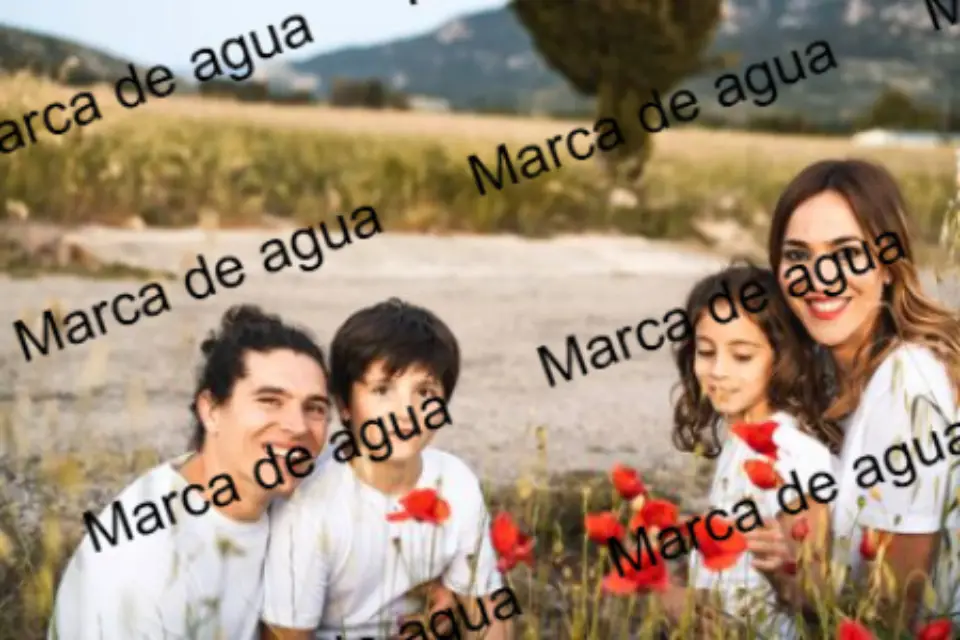 Quitar marcas de agua online y gratis con inteligencia artificial - Antes